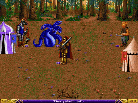 Battle scene from Heroes of Might & Magic